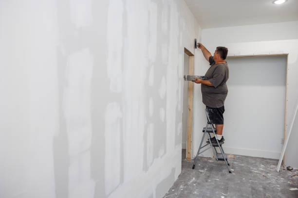 Professional Mold Removal in Vandenberg Af, CA