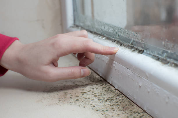 Best Forensic Mold Investigation  in Vandenberg Af, CA
