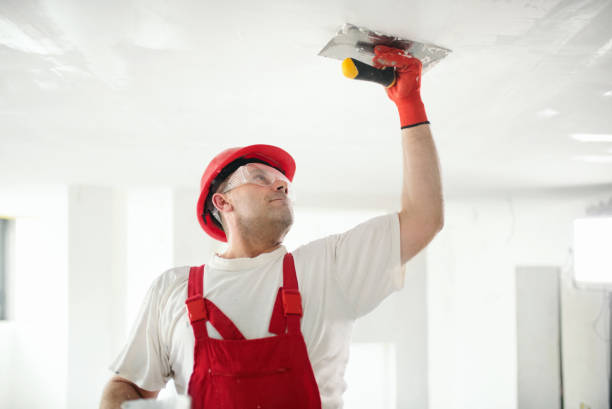 Forensic Mold Investigation in Vandenberg Af, CA